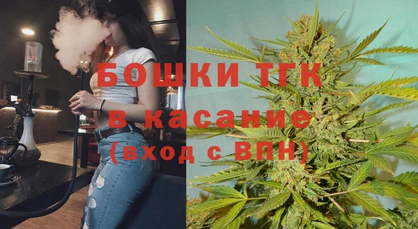 гашик Арсеньев