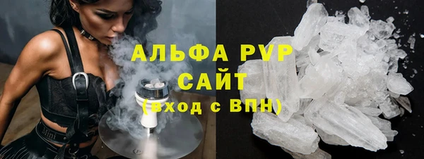 гашик Арсеньев