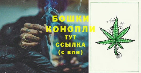 гашик Арсеньев