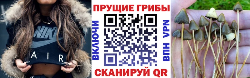 Галлюциногенные грибы Psilocybe  blacksprut зеркало  Лесосибирск  где продают  