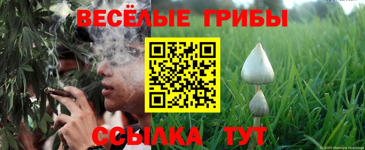 как найти закладки  Псилоцибиновые грибы Psilocybe  Вход с VPN  Лесосибирск  Галлюциногенные грибы Psilocybe 
